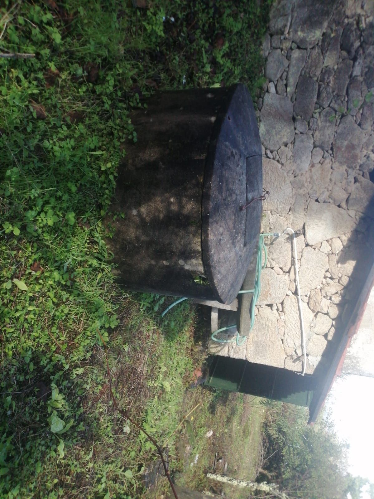 Garden of House or chalet for sale in Porto do Son