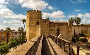 Exterior view of Buildings for sale in Jerez de la Frontera