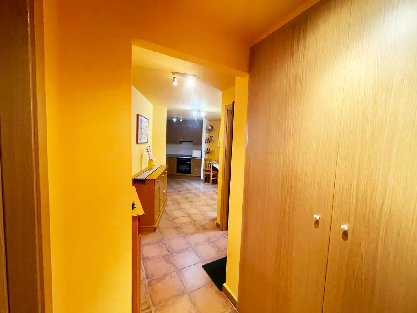 Apartments for sale in Rialp  with Heating, Storage room and Furnished