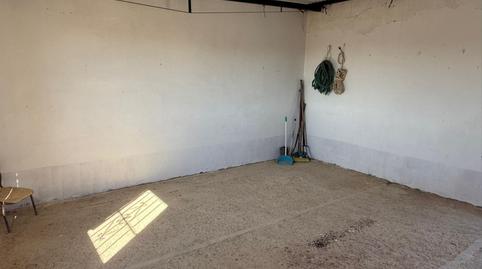 Photo 3 of Land for sale in Camino la Dehesilla, Pedanías Norte, Sevilla