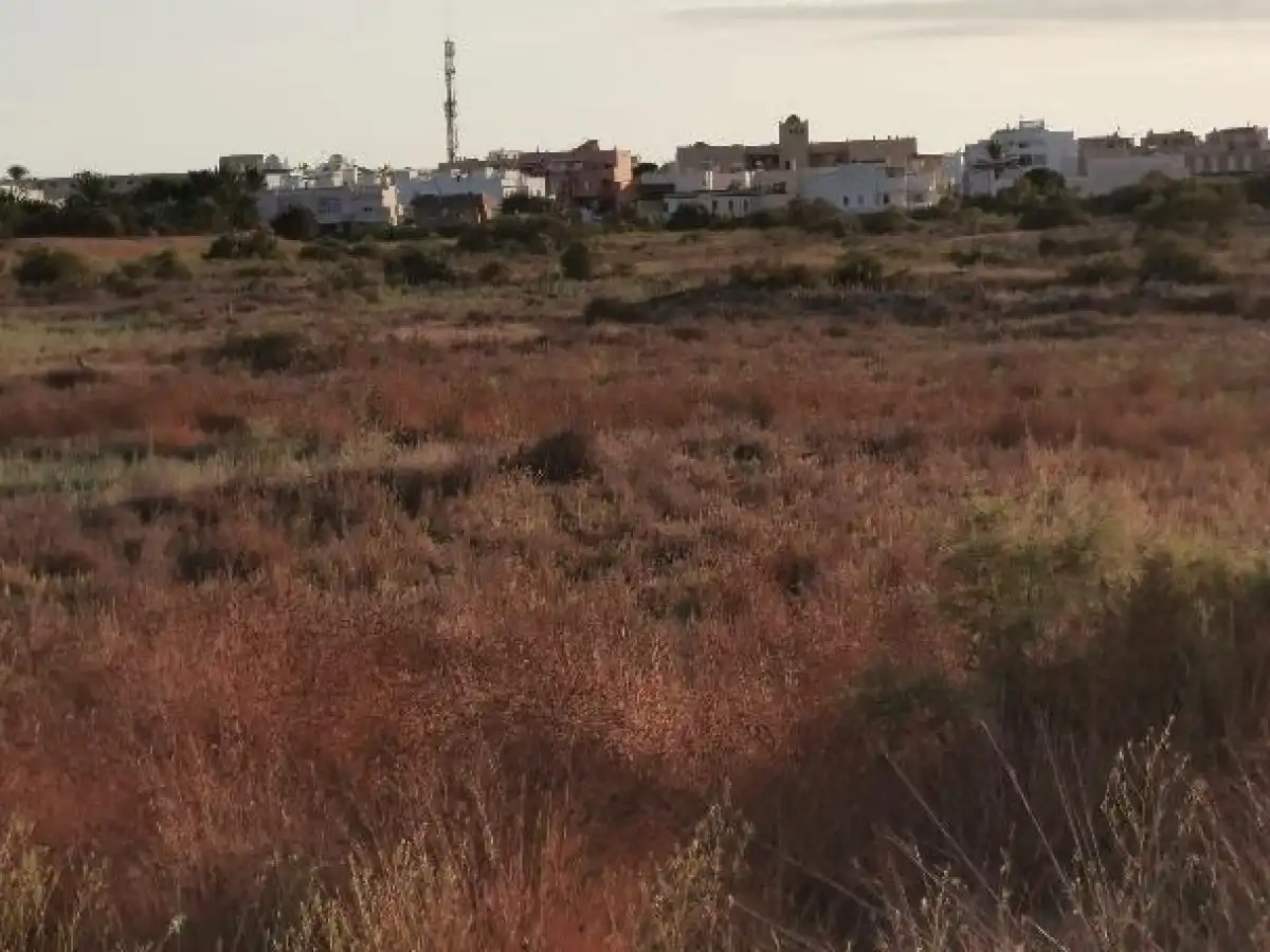 Terreno rustico in vendita a Camino LOS HUERTOS, imagen 5