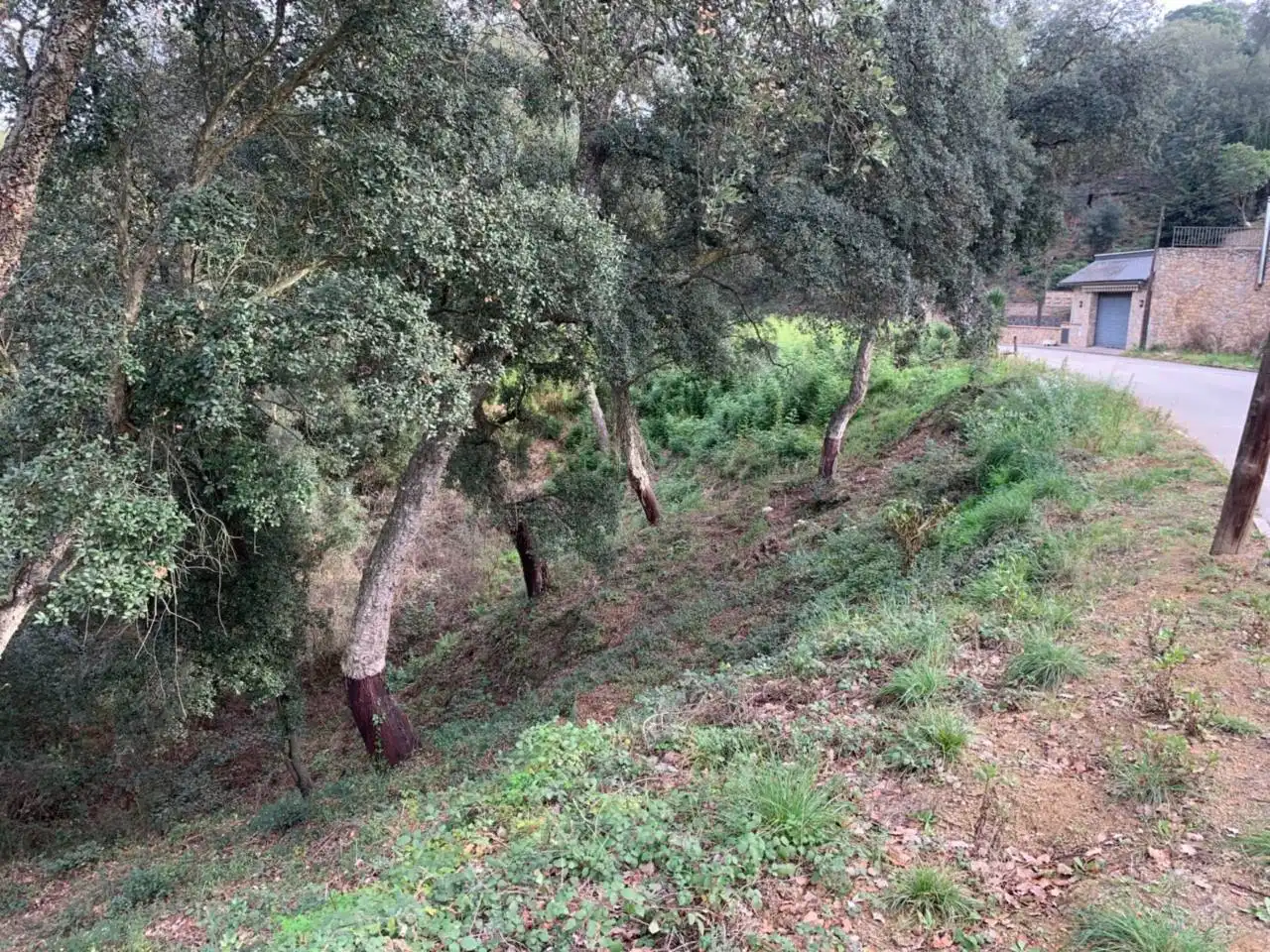 Rural land for sale in Calle llanega blanca 900, imagen 3