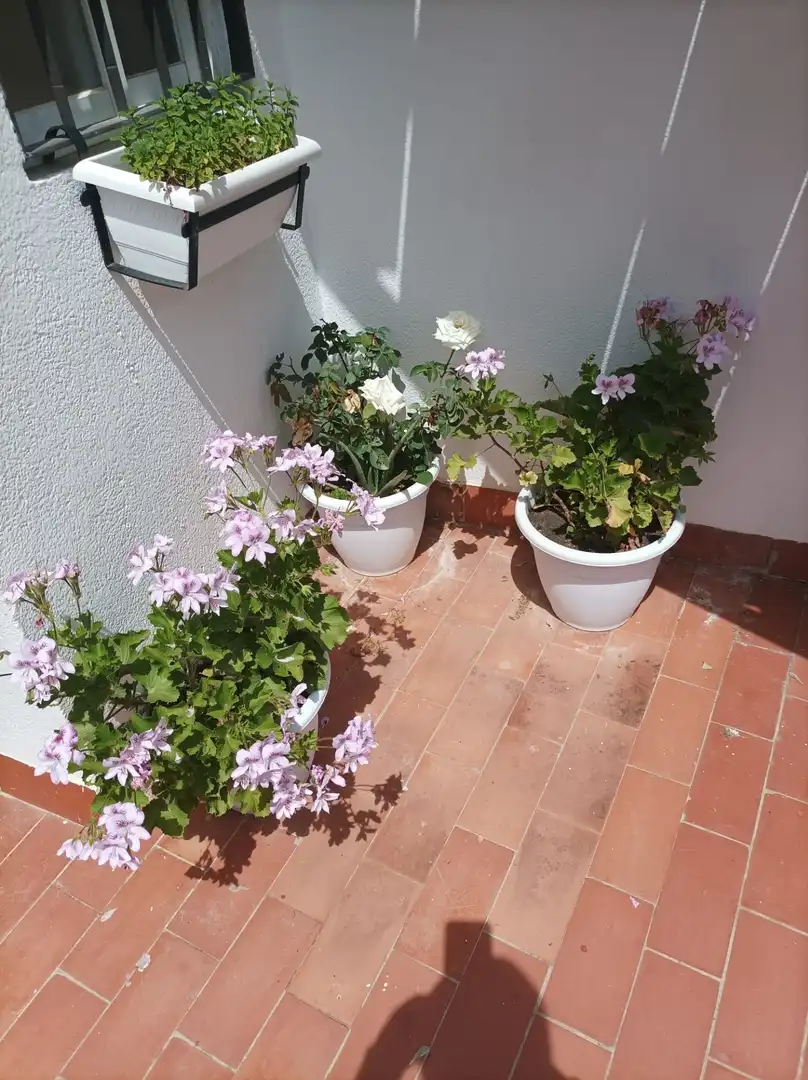 Terrace of Houses for sale in Córdoba  with Air Conditioner, Terrace and Storage room