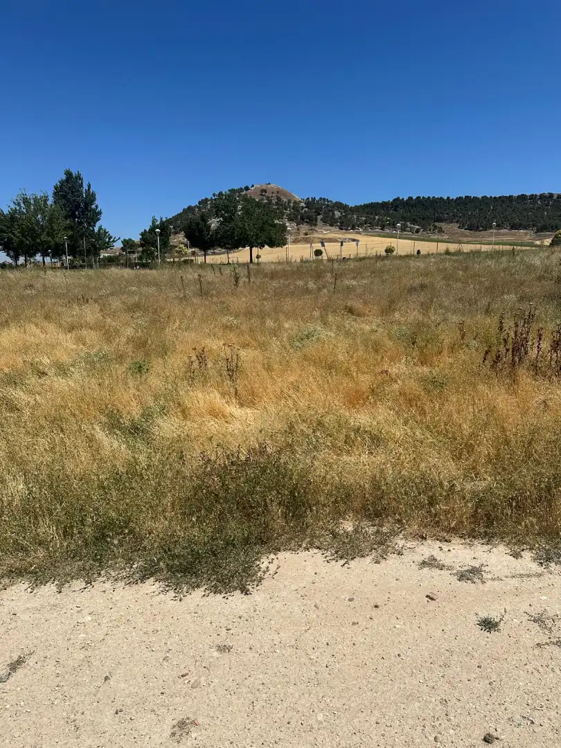 Residencial en venta en Cabezón de Pisuerga