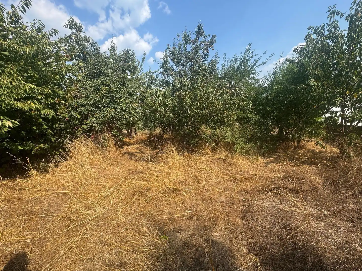 Finca rústica en venta en Congosto con Jardín privado y Terraza