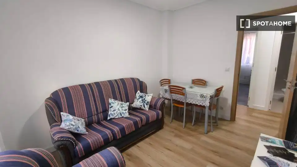 Living room of Flat for share in Bilbao   with Air Conditioner, Heating and Furnished