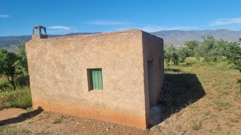 FINCA CON OLIVOS Y ALMENDROS EN ABRUCENA