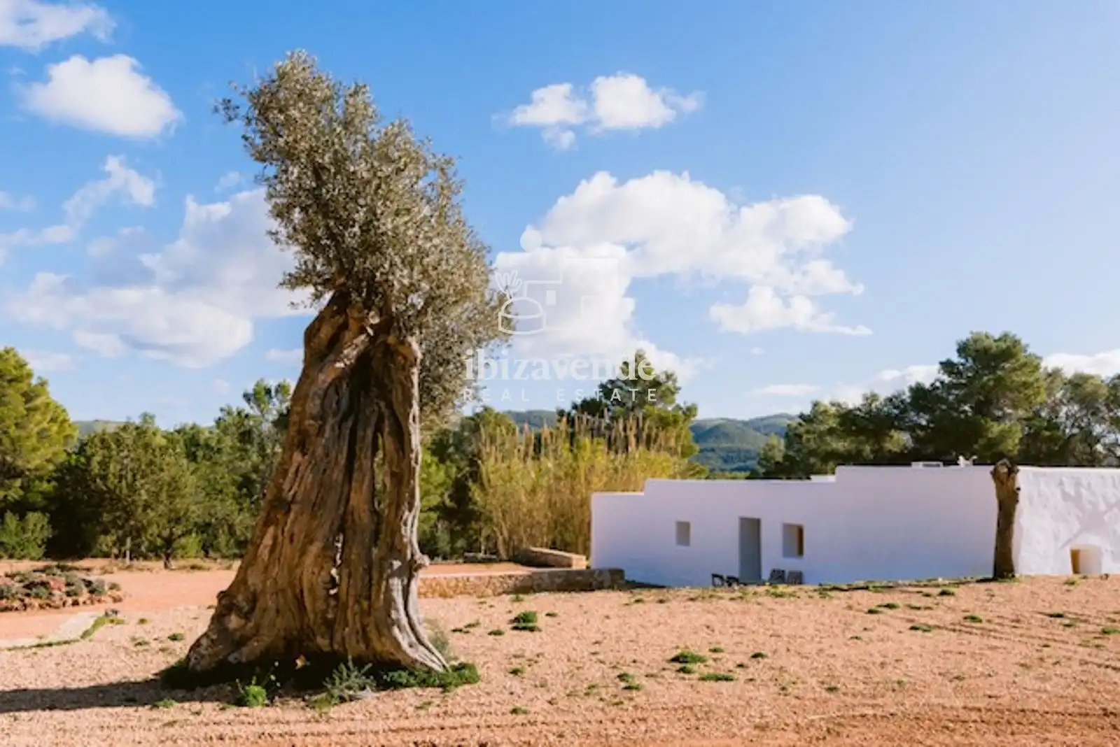 Vista exterior de Casa o chalet de alquiler en Sant Joan de Labritja con Aire acondicionado, Calefacción y Jardín privado