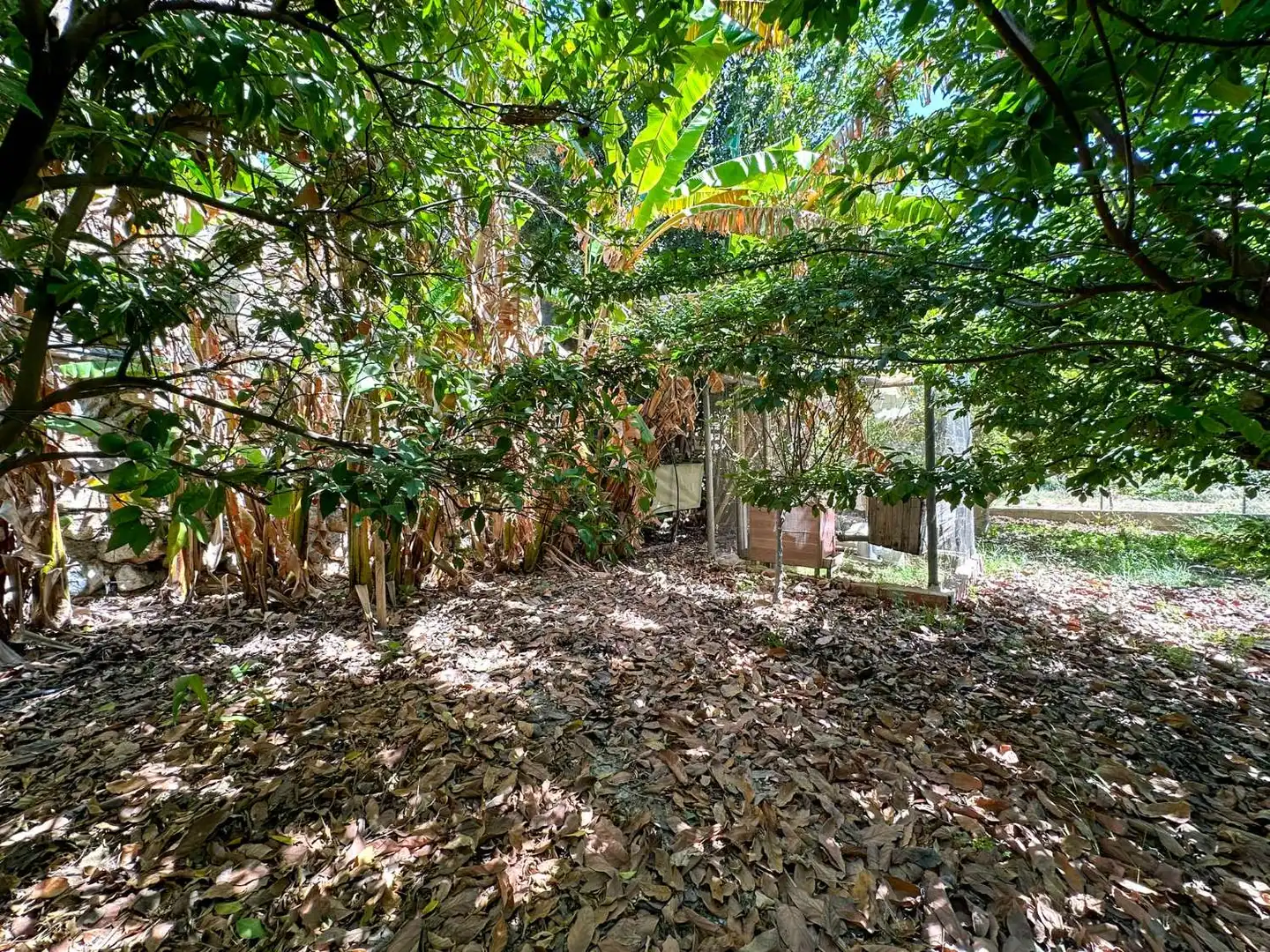 Jardín de Casa o chalet en venta en Motril con Calefacción, Terraza y Trastero