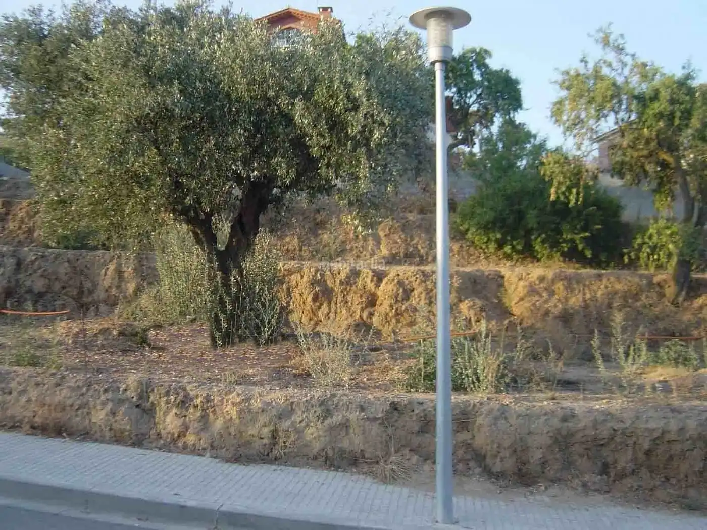 Terreny residencial en venda a Carrer l'Oliverar 39, imagen 2
