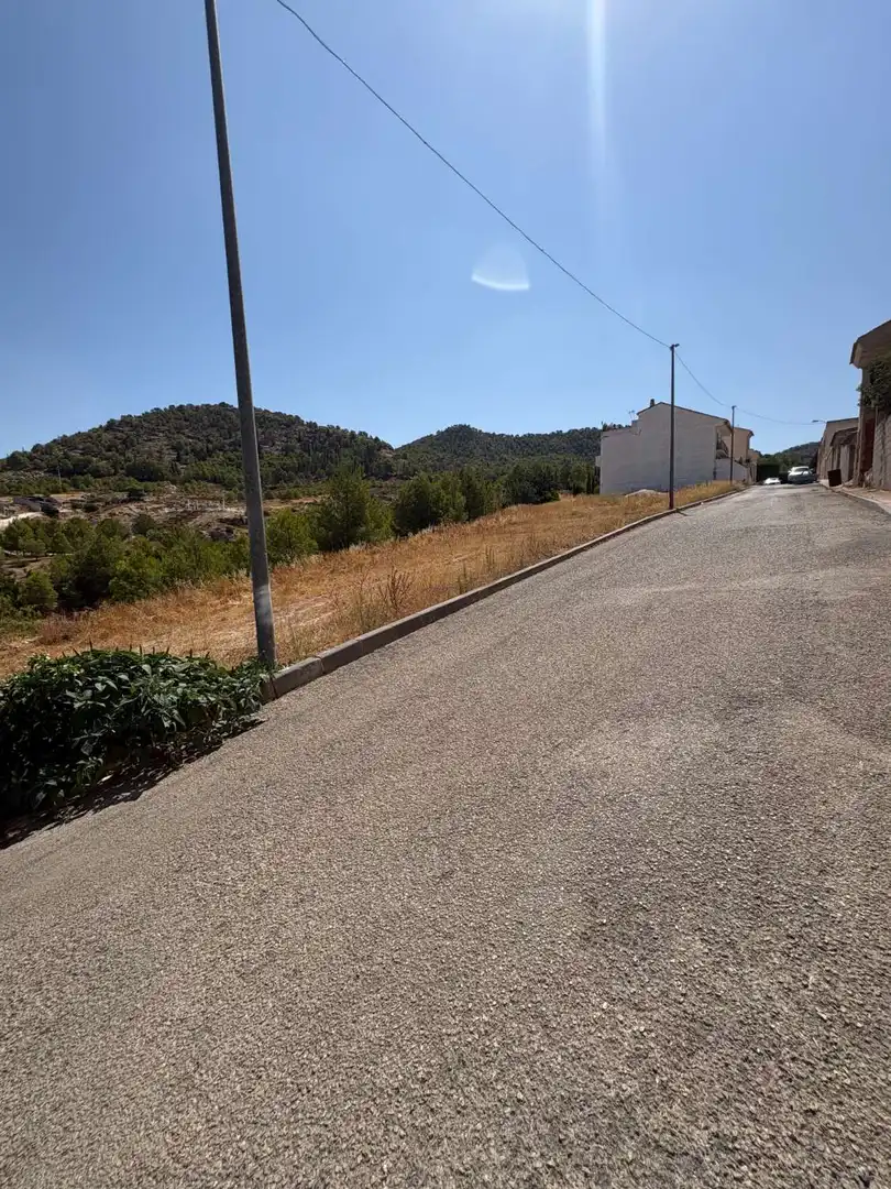 Terrenos y solares en venta en Pliego, imagen 3