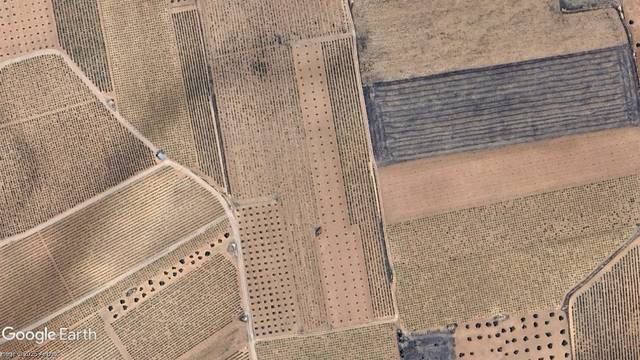 Terreno en Venta en Membrilla