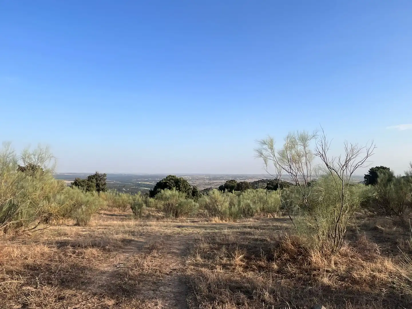 Terrain rustique à vendre à Colmenarejo, imagen 17