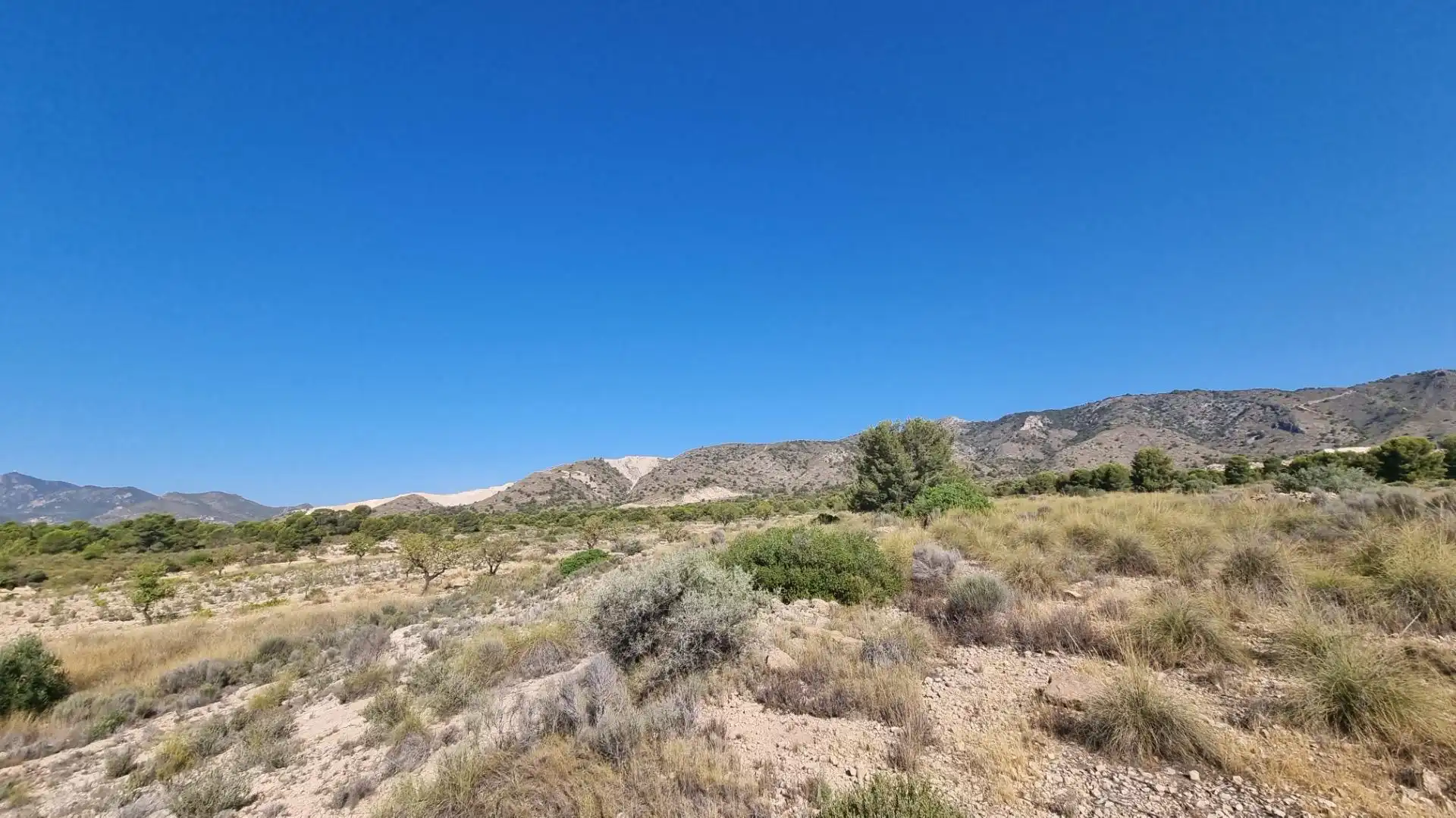Lands and plots for sale in Abanilla, imagen 11