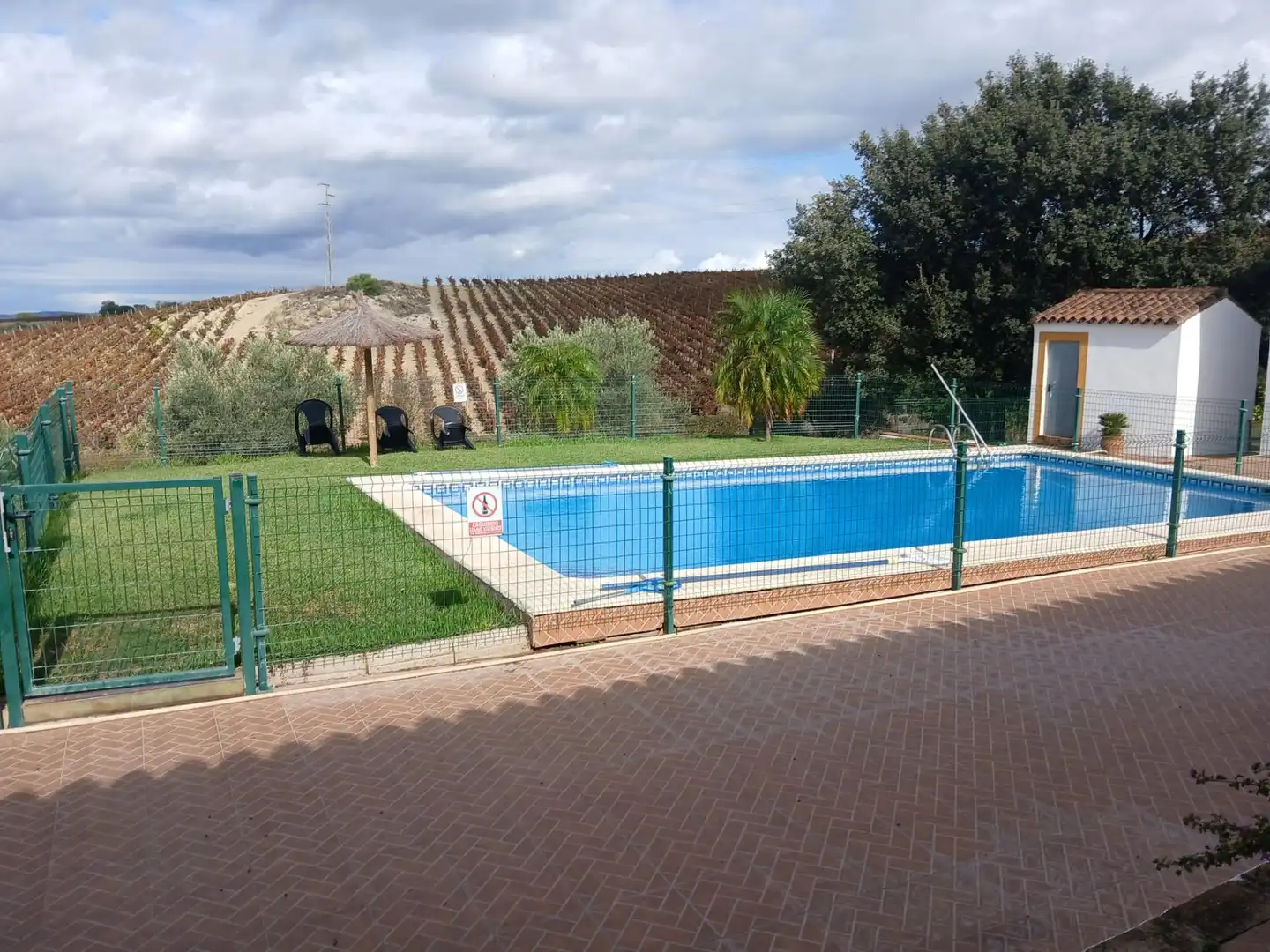 Piscina de Finca rústica en venda en Arcos de la Frontera amb Jardí privat i Piscina comunitària