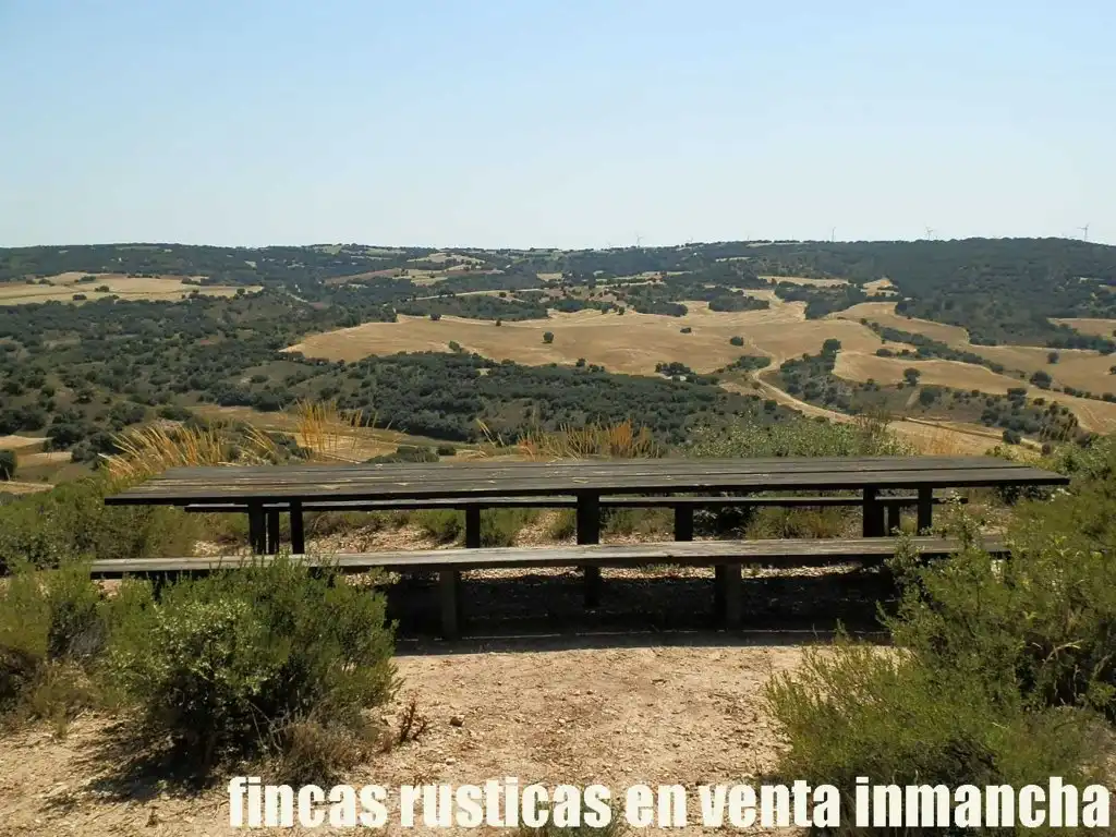Rustikales Grundstück zum Verkauf in Alcocer, imagen 16