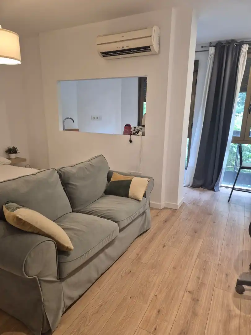 Sala d'estar de Estudi en venda en Alicante / Alacant amb Calefacció i Moblat