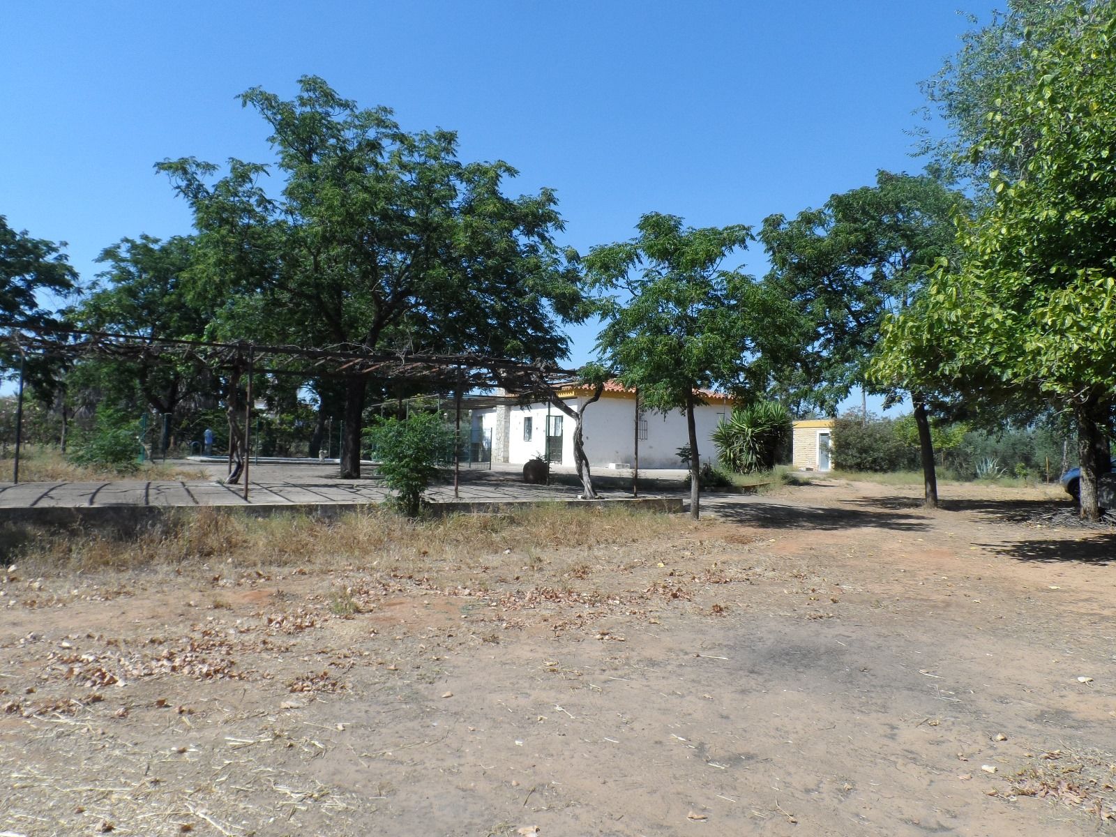 Finca rústica en venta en Benacazón con Piscina