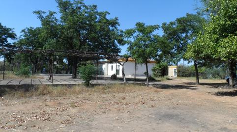 Photo 2 of Country house for sale in Benacazón, Sevilla