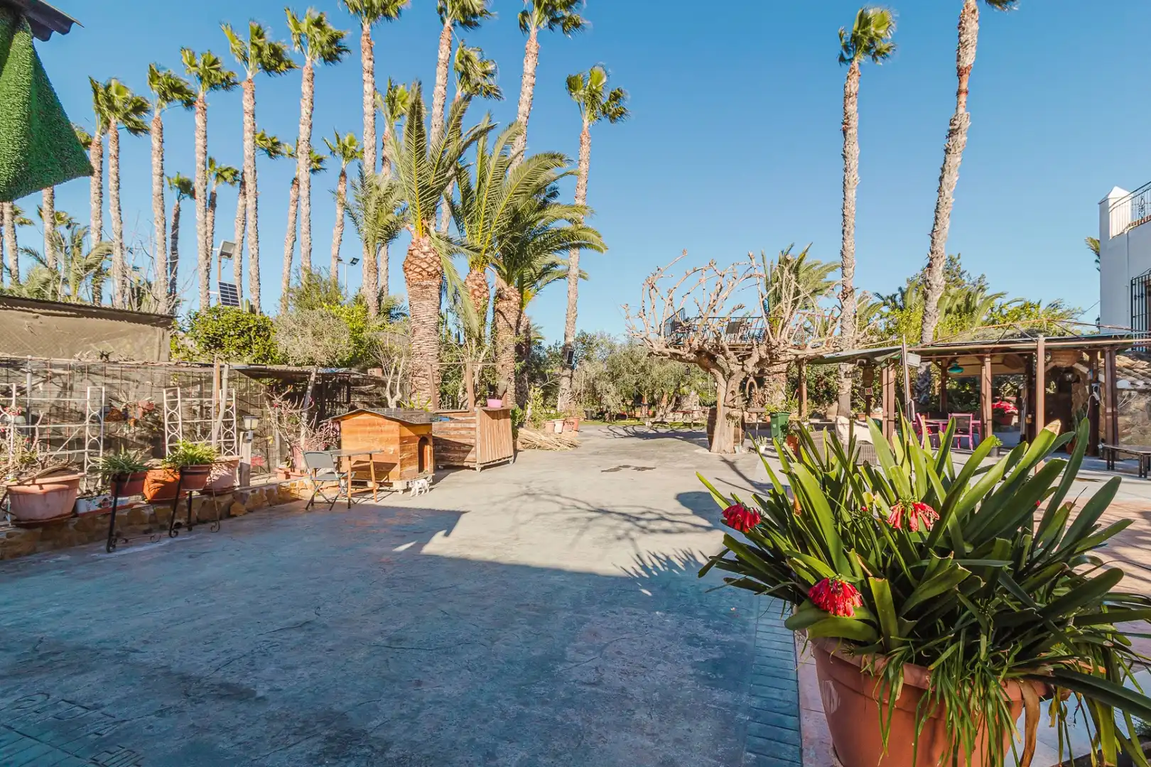 Casa en venda a Orihuela ciudad, imagen 103