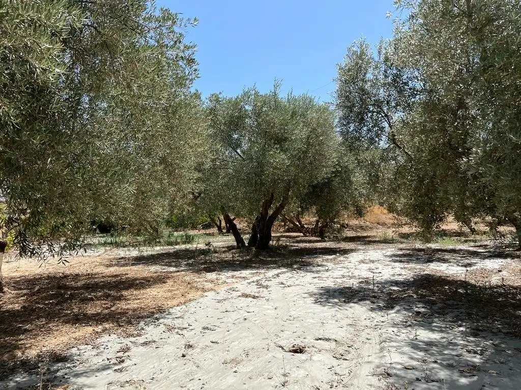 Finca rústica en venda en Villamena