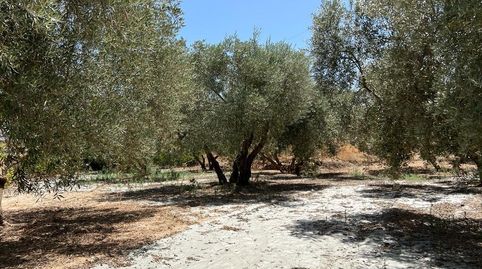 Photo 4 of Country homes for sale in Villamena, Granada