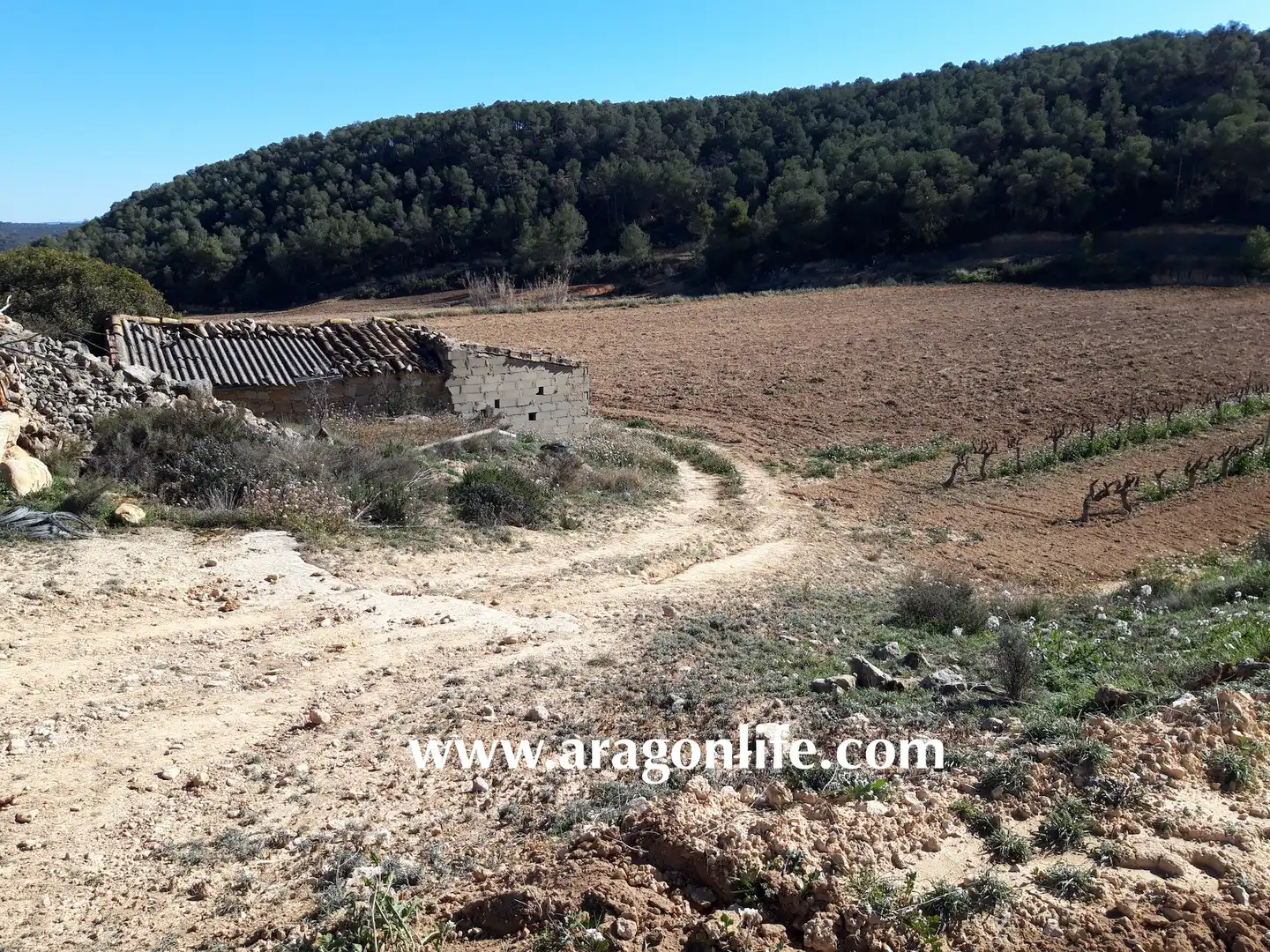 Finca rústica en venta en Nonaspe