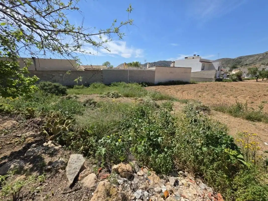 Terreny residencial en venda a Hondón de las Nieves / El Fondó de les Neus, imagen 4
