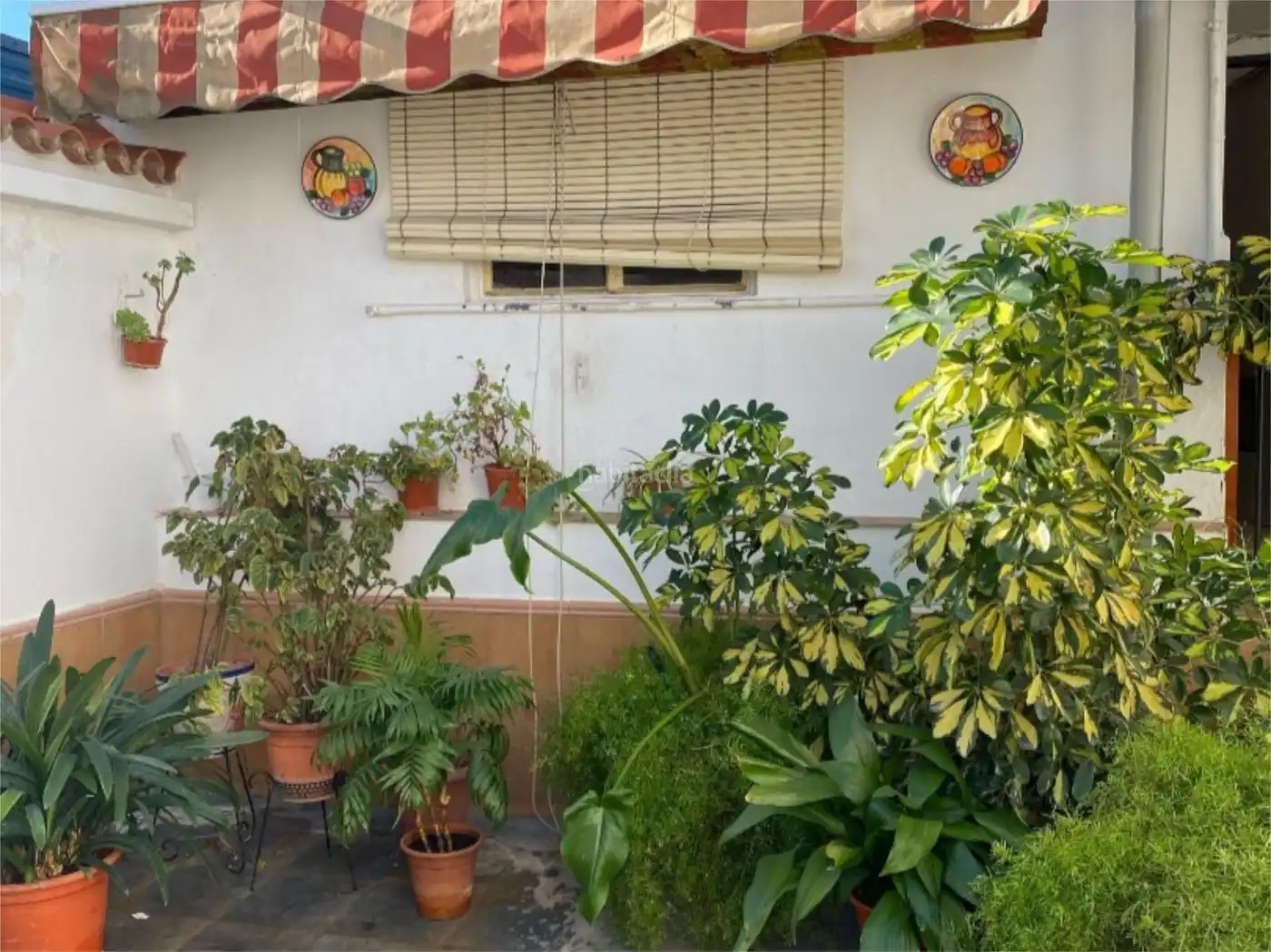 Apartamento en venta en Calle Pino 9, imagen 10