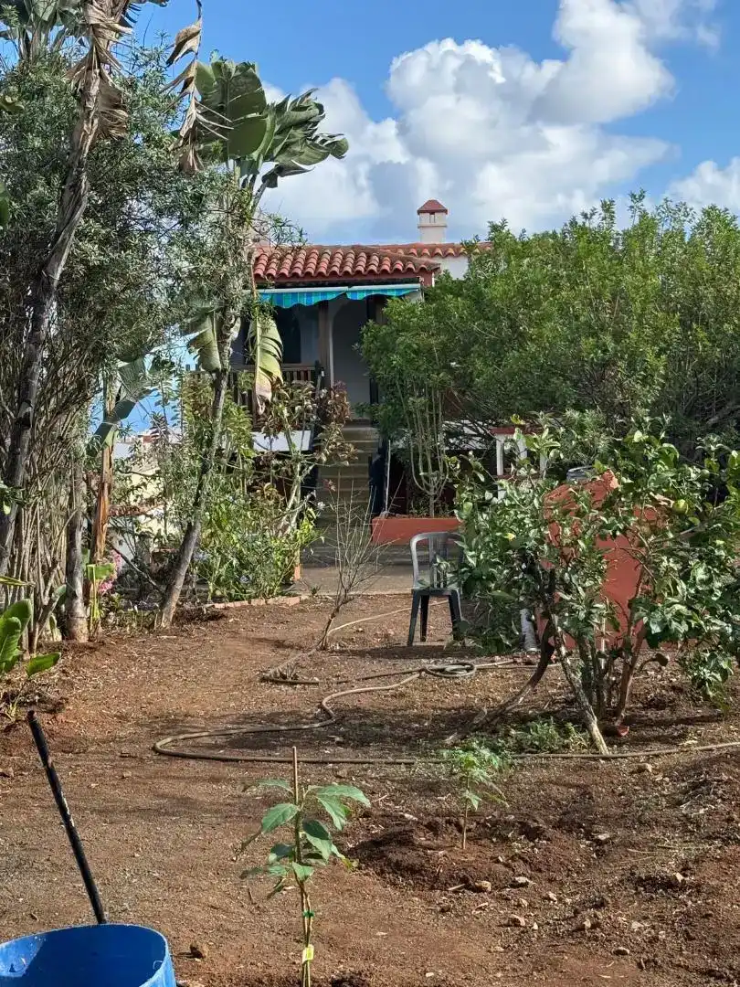 Erdgeschoss zur Miete in Las Palmas de Gran Canaria mit Privatgarten und Waschmaschine