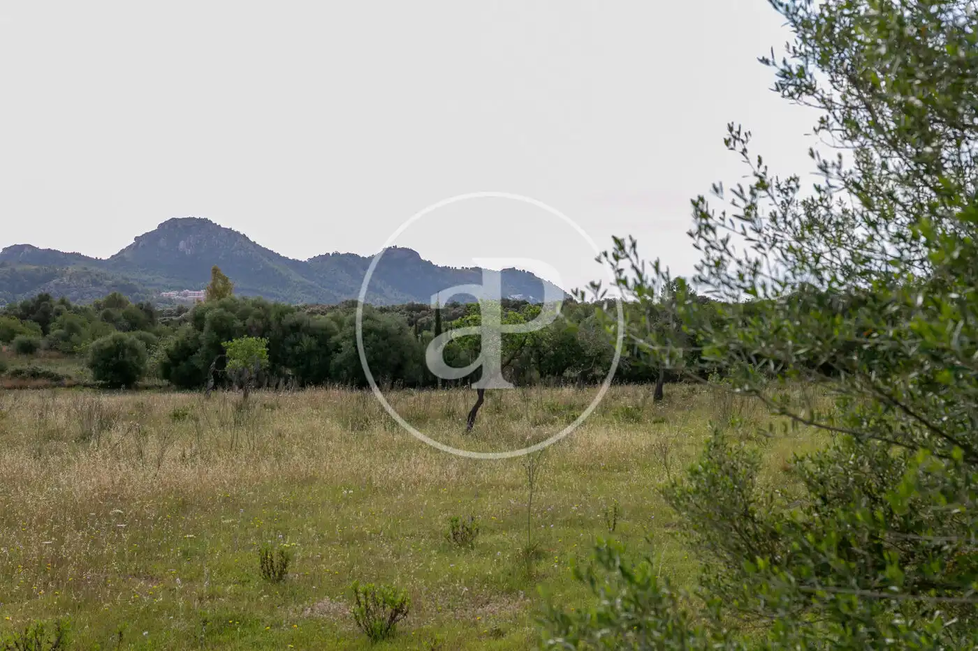Terreny residencial en venda a Av. Montferrutx, imagen 25