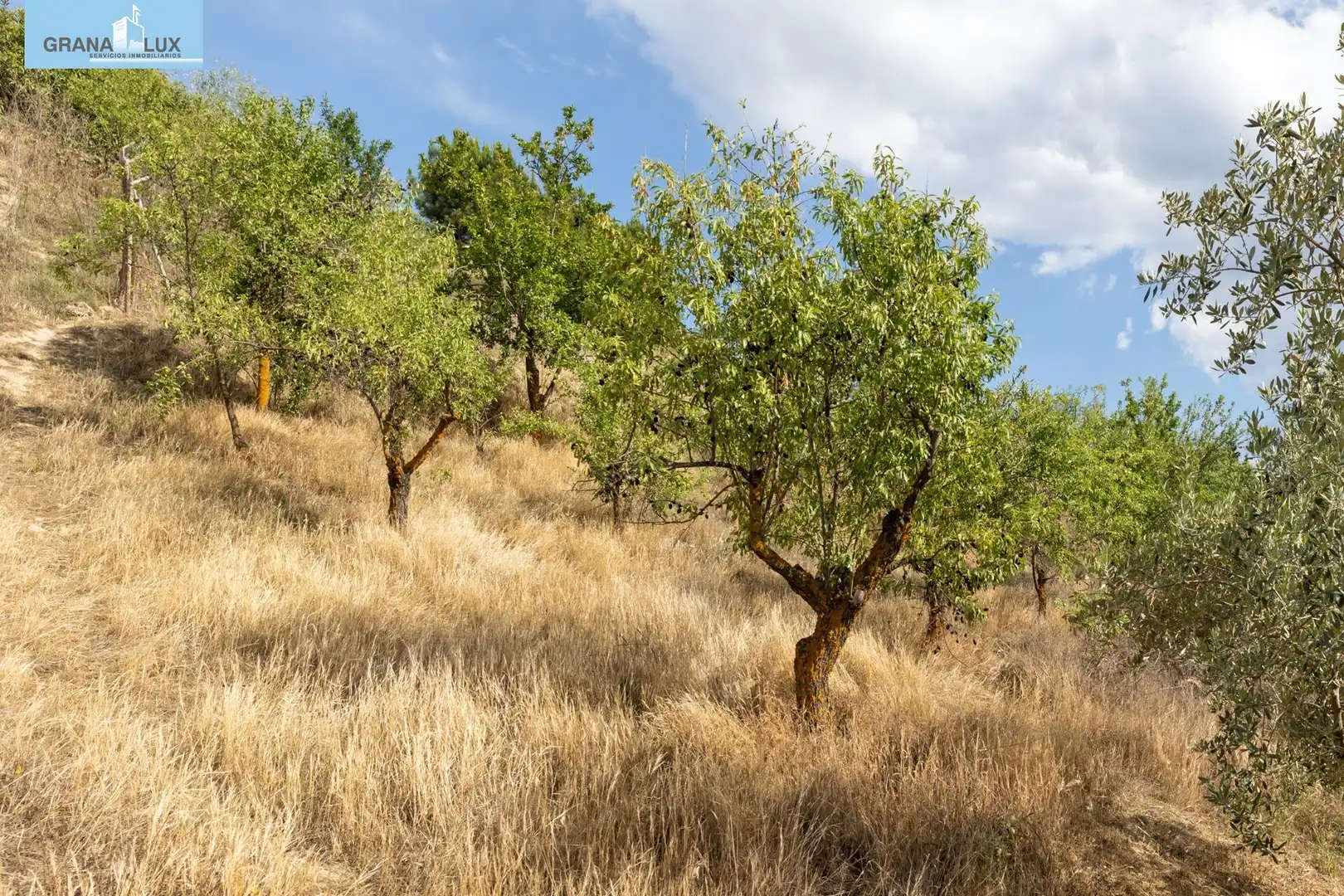 Terreno rustico in vendita a Calle POL 1, PARC 176, imagen 15