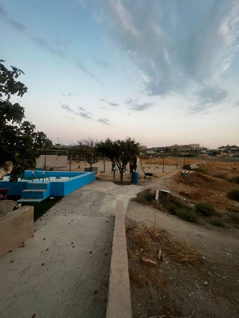 Swimming pool of Land for sale in Pechina