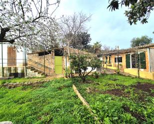 Jardí de Finca rústica de lloguer en  Palma de Mallorca amb Aire condicionat, Piscina i Moblat