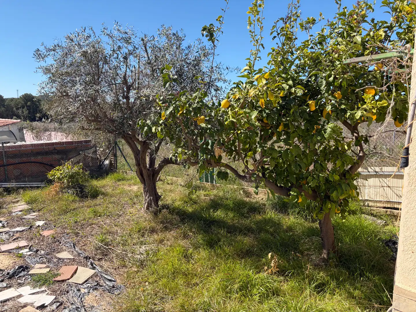 Terreno residencial en venta en Carrer de les Oliveres, imagen 9