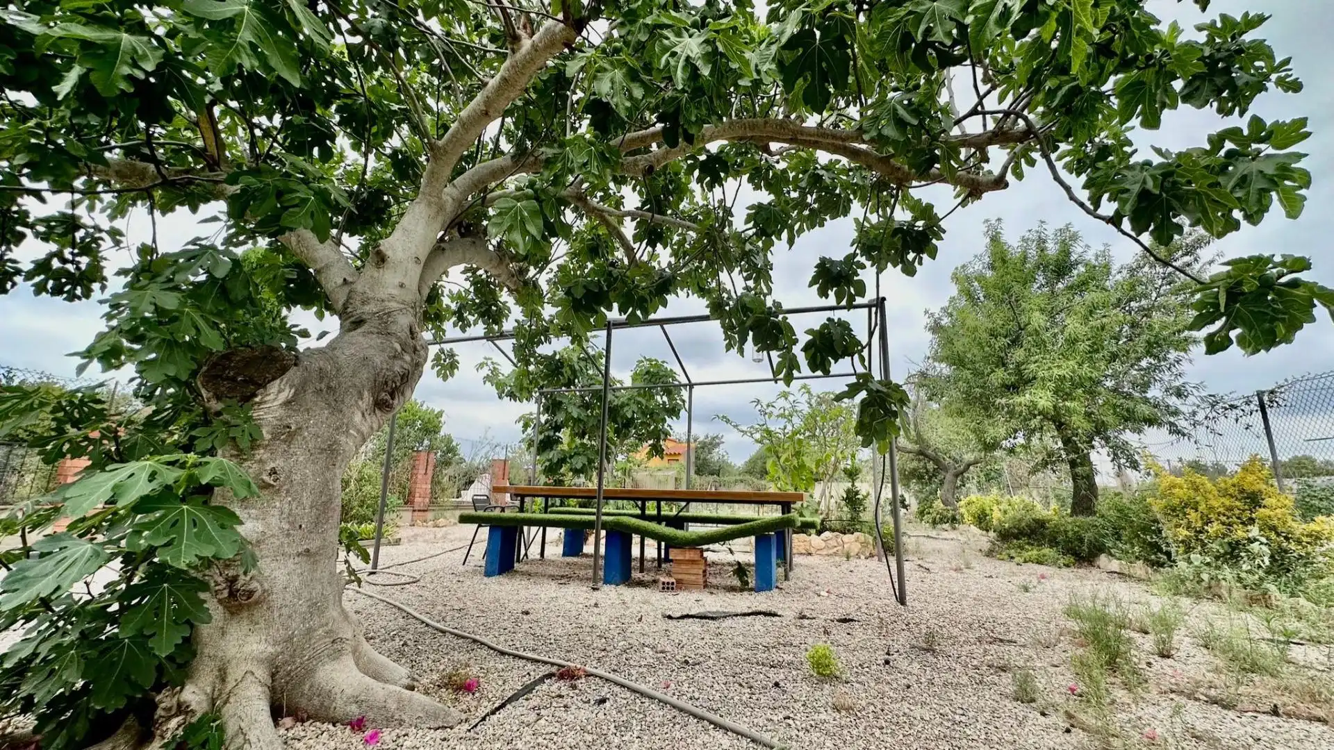 Jardín de Casa o chalet en venta en Vallmoll con Calefacción, Jardín privado y Terraza