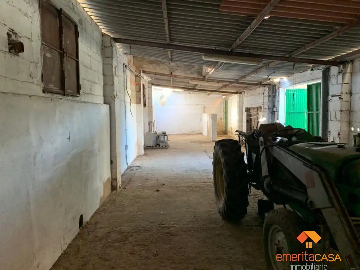 Nave industrial in affitto a Oeste, imagen 10
