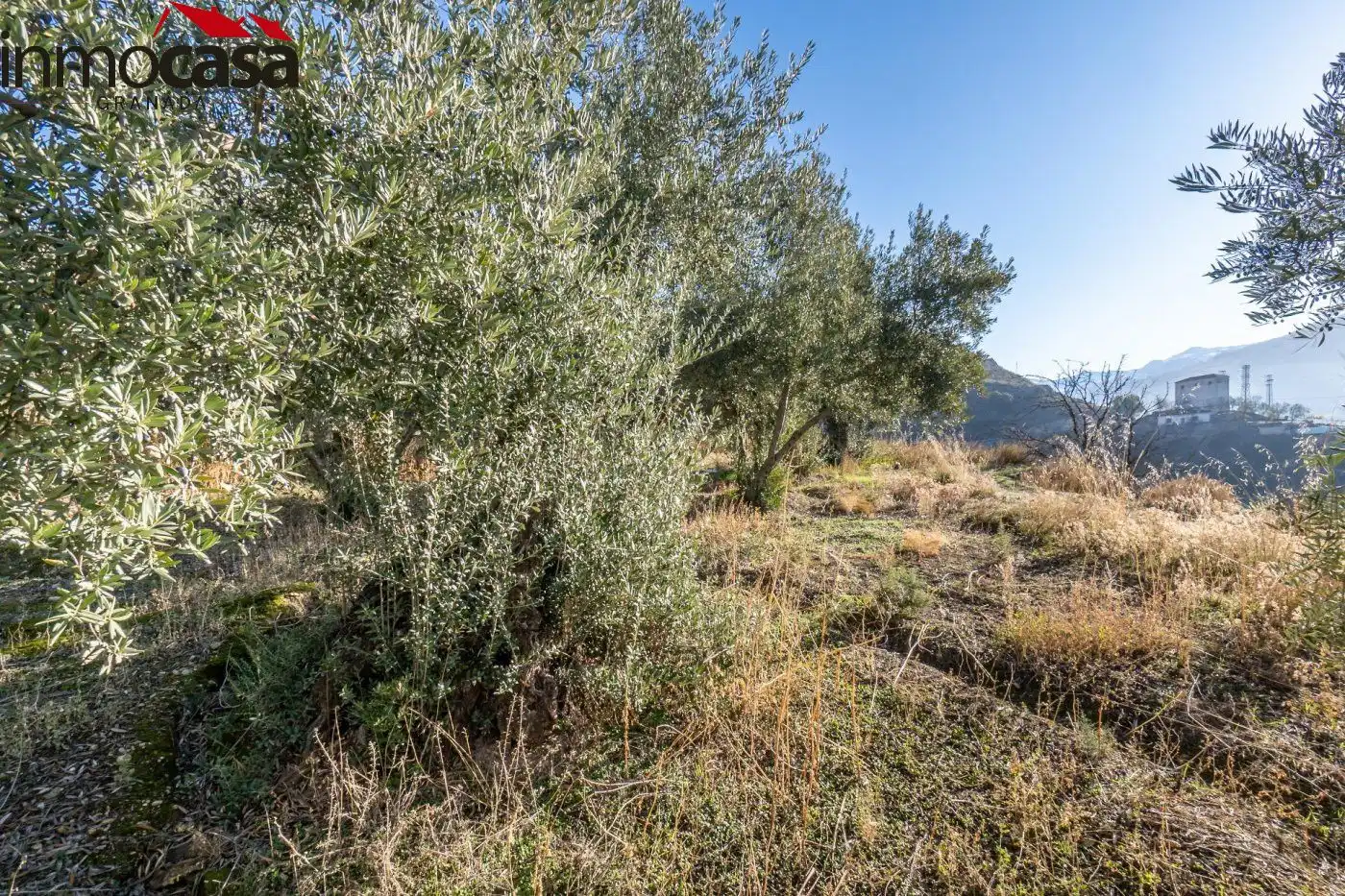 Finca rústica en venda a Polígono PARAJE DE LA HOYA, Güéjar Sierra