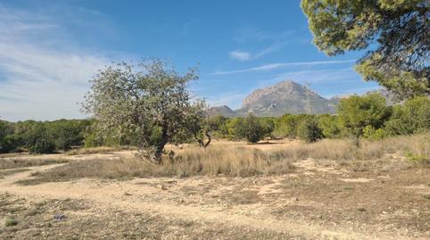 Foto 3 de Terreny en venda a Juzgados - Plaza de Toros, Alicante