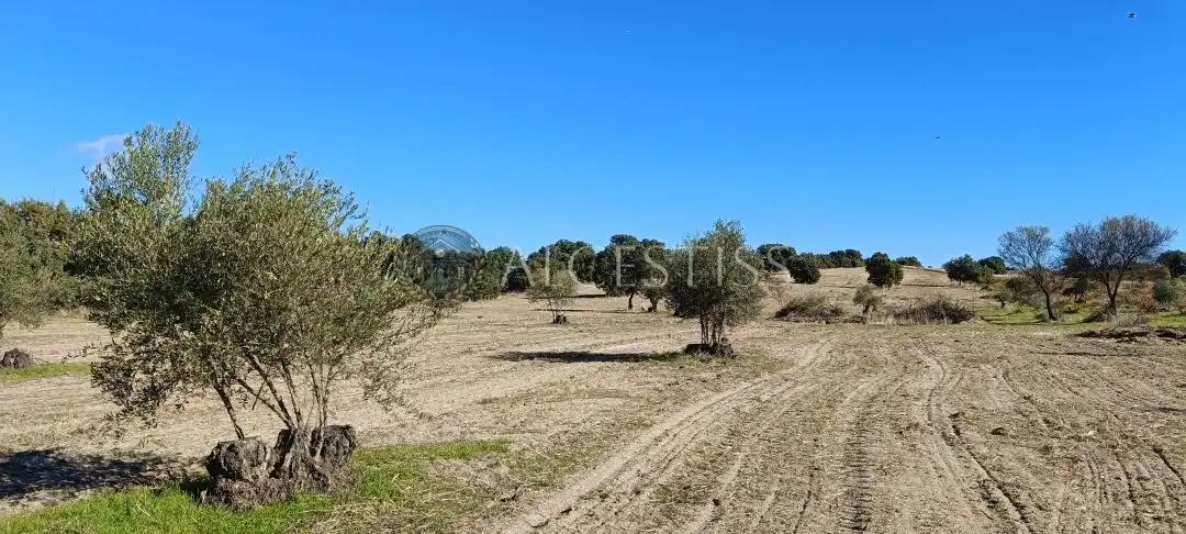 Terreno rústico en venta en Villamanta