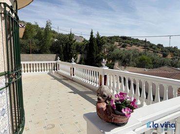 Xalet amb jardí en venda a Calle Granada