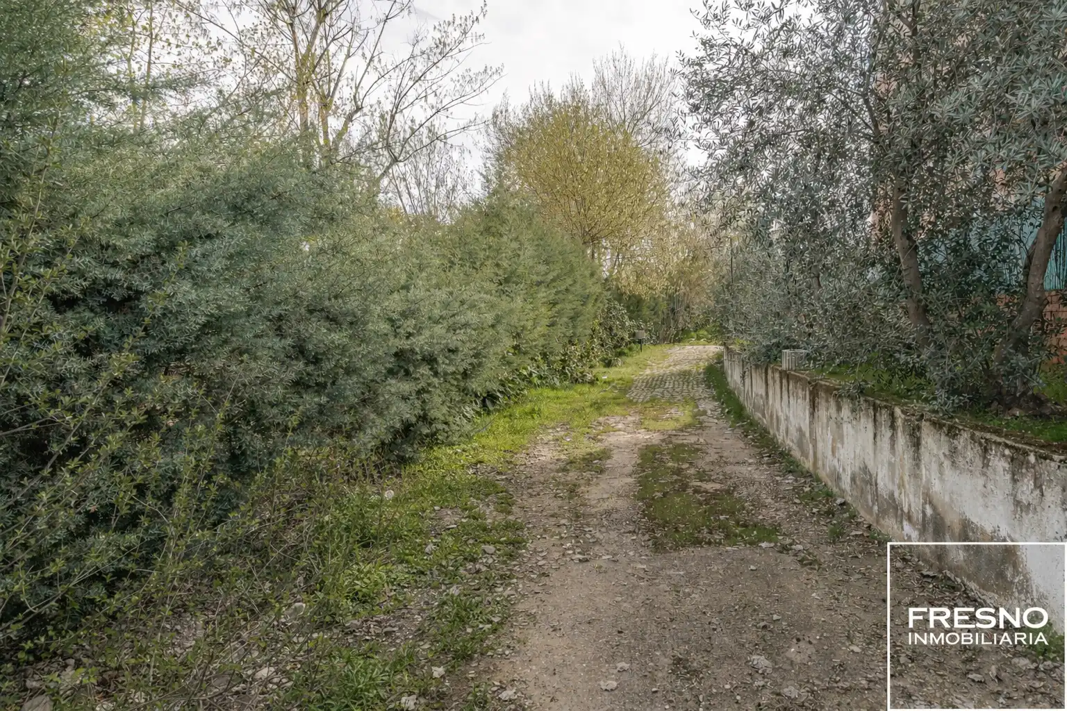 Wohnbaugrundstück zum Verkauf in Calle del Olivar 15B, imagen 3