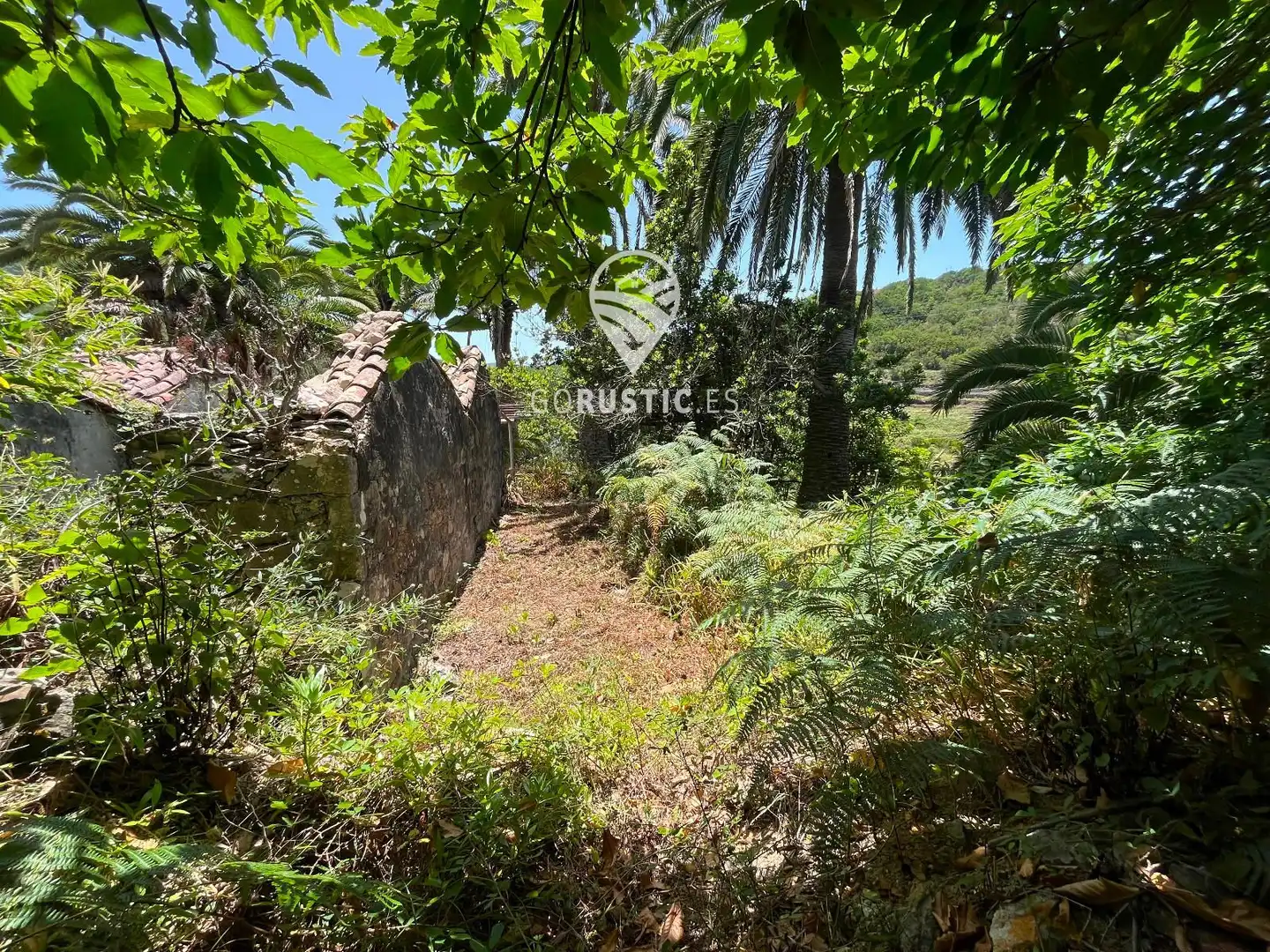 Terreno rústico en venta en Cruz de Tierno, Pol 2; Parc. 344 y 10344, imagen 21