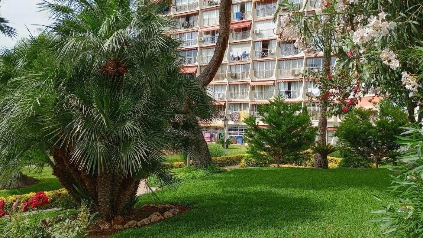 Vista exterior de Apartamento en venta en Rincón de Loix