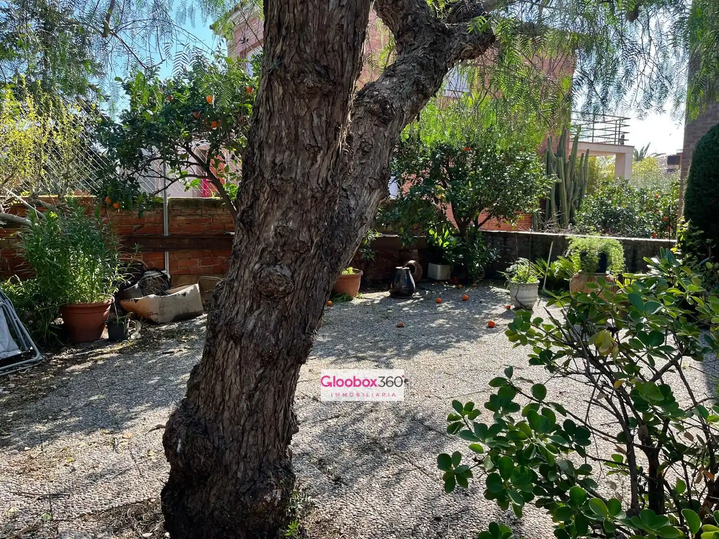 Jardí de Casa o xalet en venda en Reus amb Calefacció, Jardí privat i Terrassa