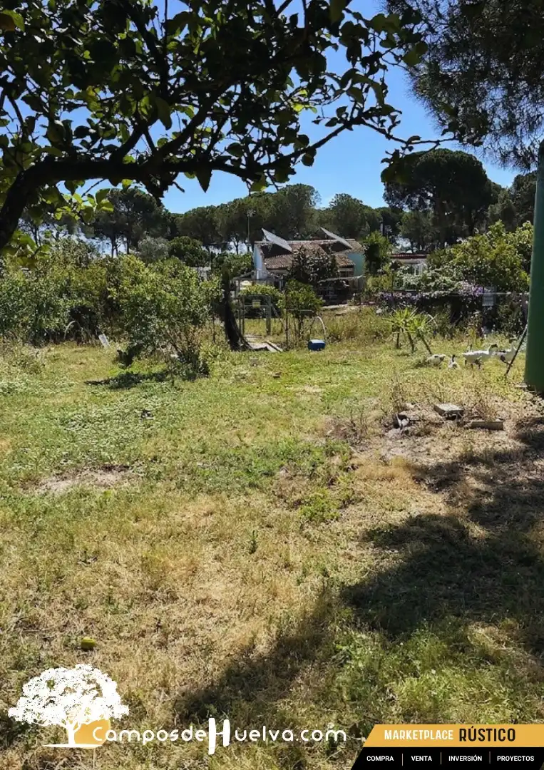 Terreni e lotti in vendita a A-486, imagen 7