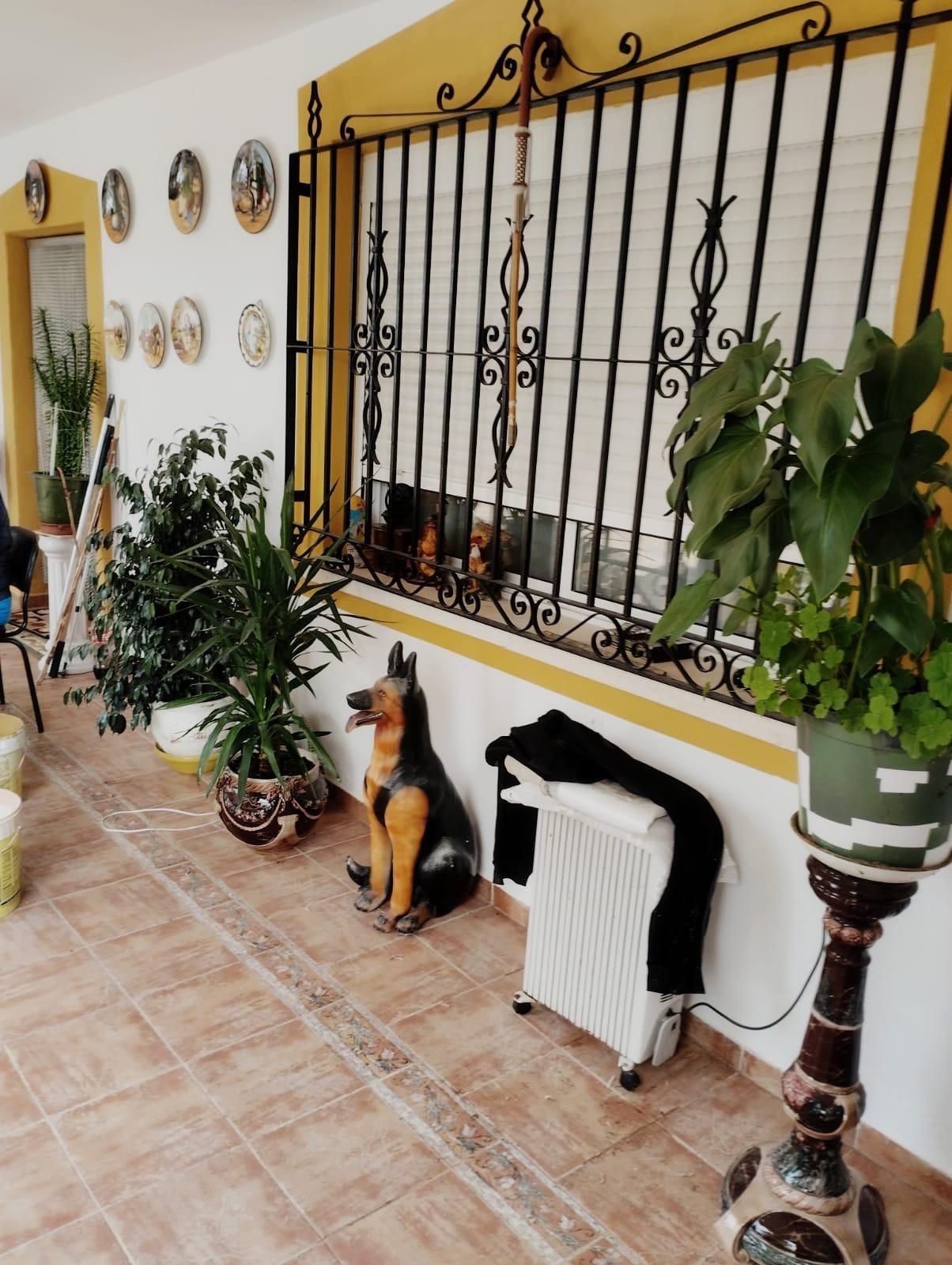 Casa o xalet en venda en  Albacete Capital amb Jardí privat, Terrassa i Traster