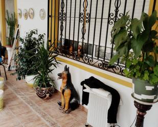 Casa o xalet en venda en  Albacete Capital amb Jardí privat, Terrassa i Traster