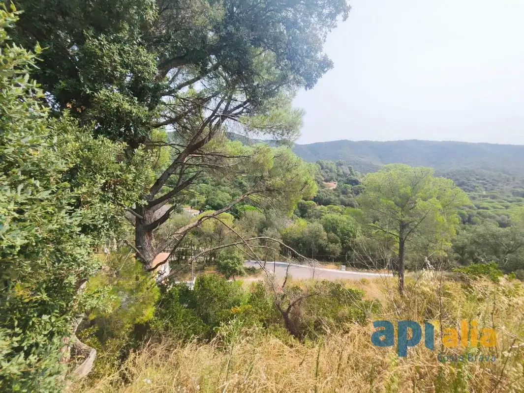 Residential land for sale in Carrer Càceres 10, imagen 5