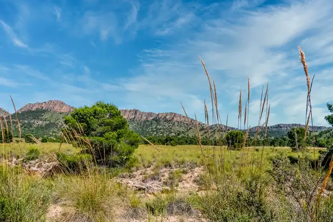 Rustikales Grundstück zum Verkauf in Paraje Fuente del Peral y Rincón del Majariego, Plg 6-7, imagen 9